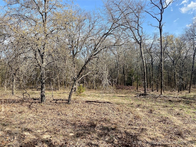 001 State Highway 76, Wilson, OK 73463 - photo 17