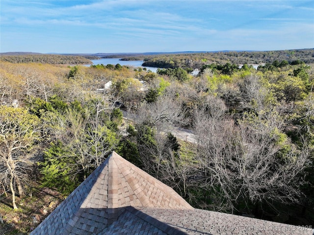 bird's eye view featuring a water view and a wooded view