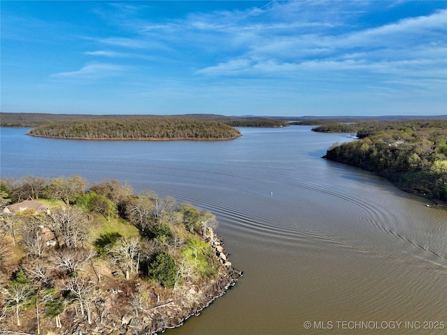 property view of water