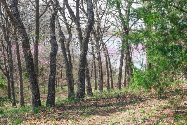 397516 W 2700th Rd, Ochelata, OK 74051 - photo 32