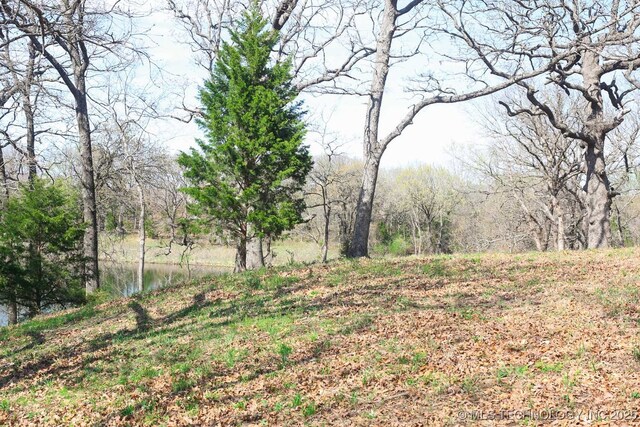 397516 W 2700th Rd, Ochelata, OK 74051 - photo 34