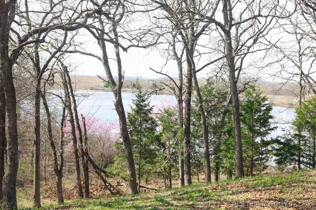 397516 W 2700th Rd, Ochelata, OK 74051 - photo 36