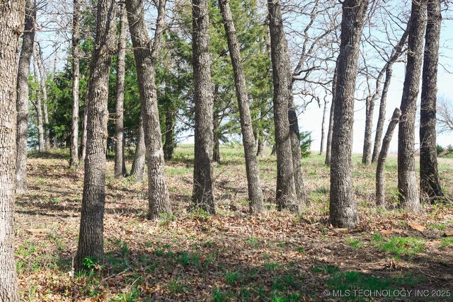 397516 W 2700th Rd, Ochelata, OK 74051 - photo 37