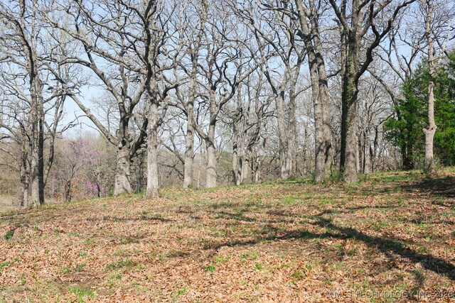 397516 W 2700th Rd, Ochelata, OK 74051 - photo 38