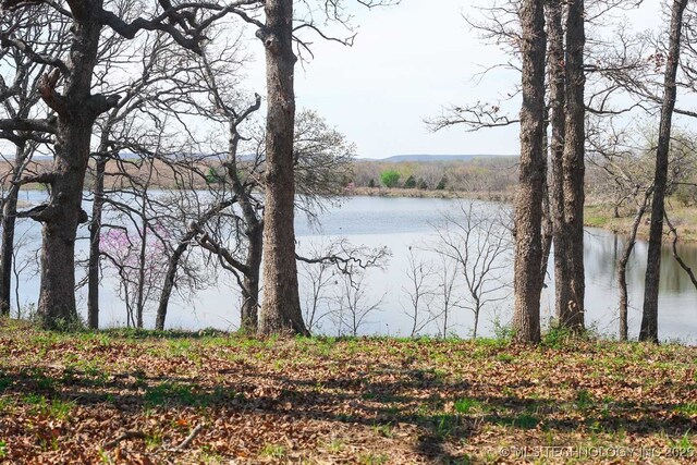 397516 W 2700th Rd, Ochelata, OK 74051 - photo 44