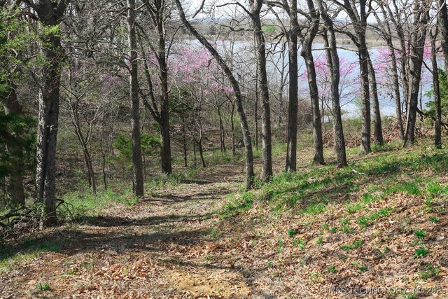 397516 W 2700th Rd, Ochelata, OK 74051 - photo 47