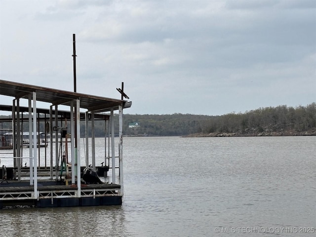 view of dock with a water view