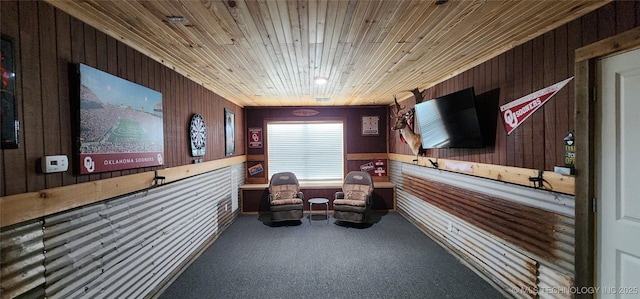 17078 S 11th W Ave, Glenpool, OK 74033 - corridor with wood walls, wood ceiling, and carpet floors