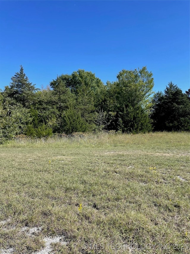 Wayne, Burneyville, OK 73430