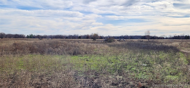 view of nature featuring a rural view