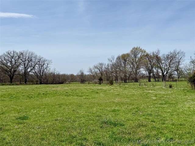 view of yard featuring a rural view