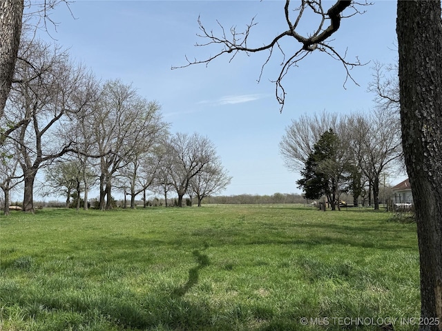 view of yard featuring a rural view