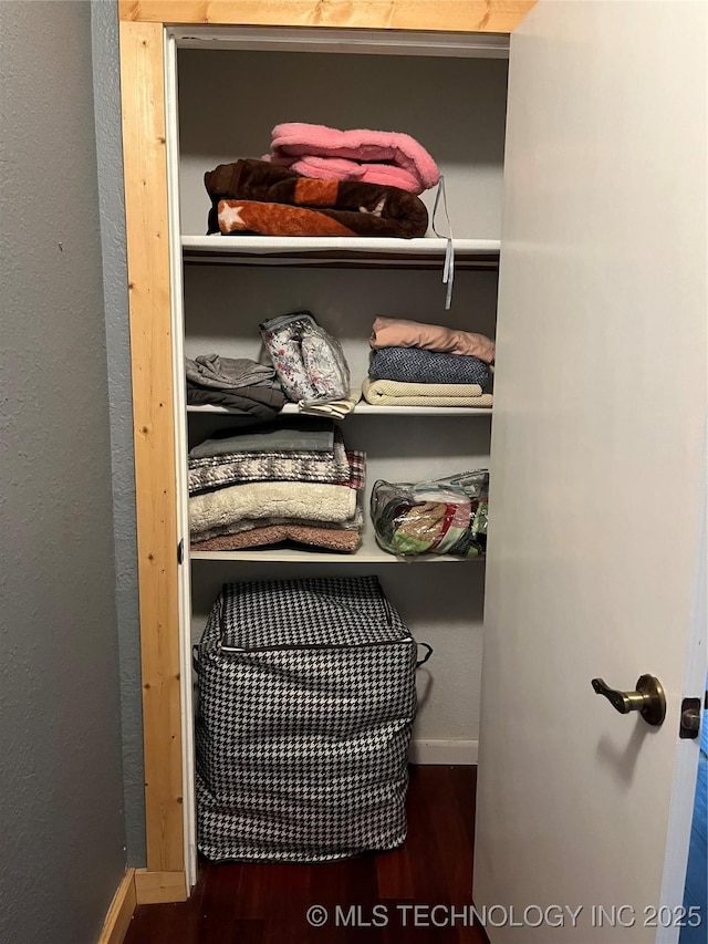 view of closet