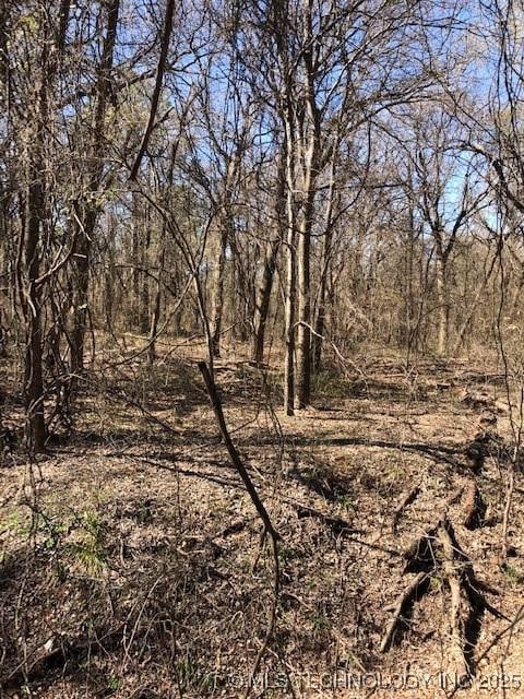 7 Golf Clb, Burneyville, OK 73430