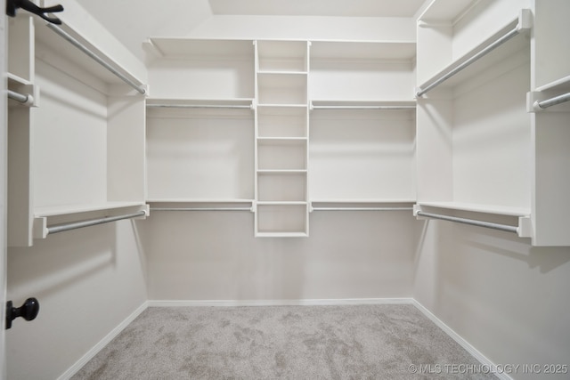 walk in closet with carpet