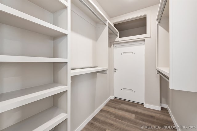 spacious closet featuring dark wood-type flooring