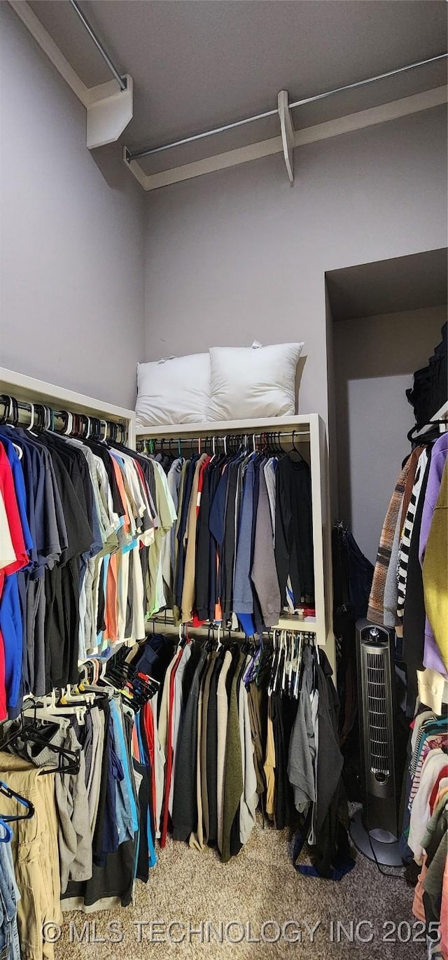walk in closet with carpet flooring