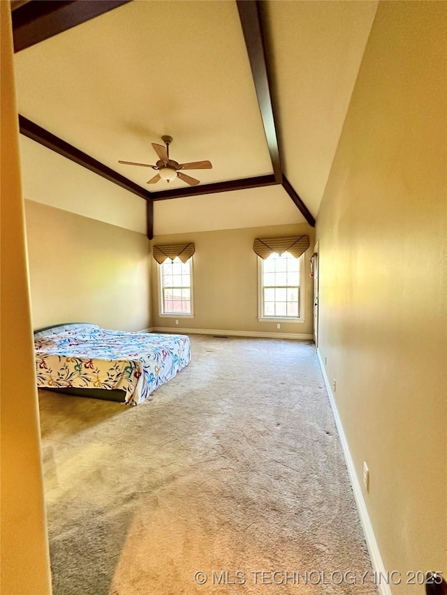 10213 S 88th E Ave, Tulsa, OK 74133 - unfurnished bedroom with multiple windows, vaulted ceiling, and carpet flooring