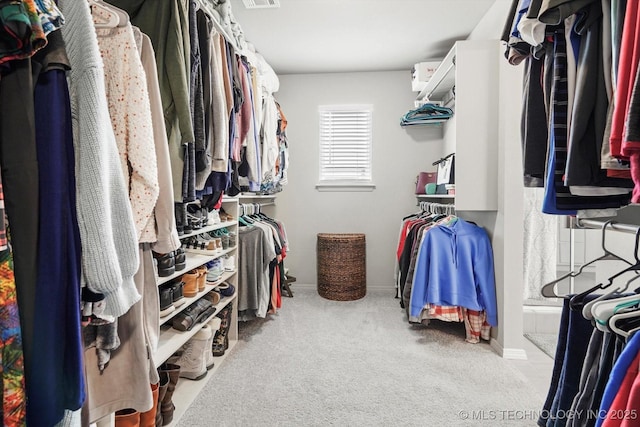 spacious closet with visible vents and carpet