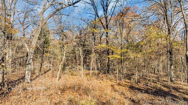 13760 SW Wilderness, Kingston, OK 73439 - view of nature with a view of trees