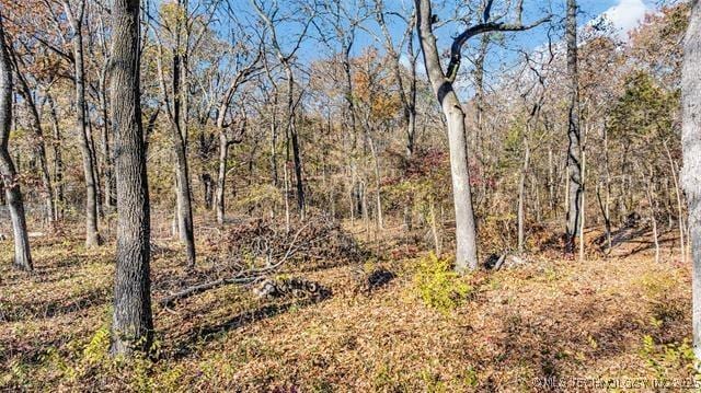 13760 SW Wilderness, Kingston, OK 73439 - view of local wilderness with a view of trees