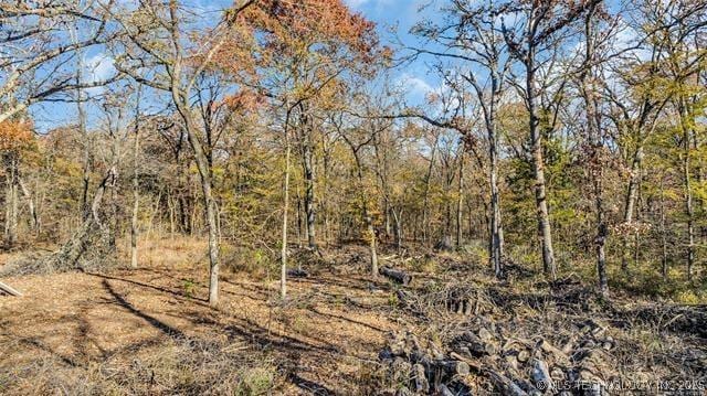 13760 SW Wilderness, Kingston, OK 73439 - view of landscape featuring a wooded view