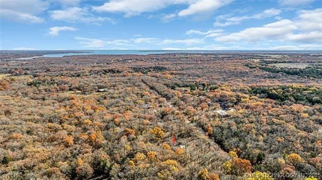 13760 SW Wilderness, Kingston, OK 73439 - birds eye view of property featuring a water view