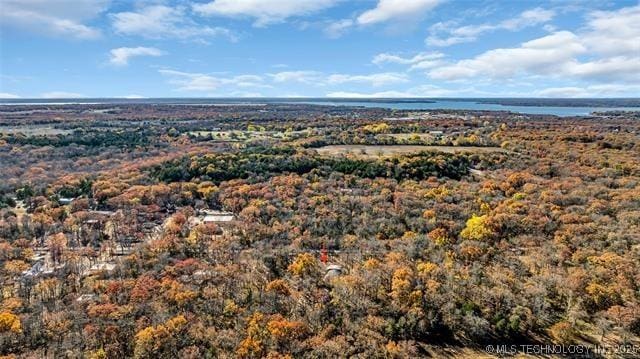 13760 SW Wilderness, Kingston, OK 73439 - drone / aerial view