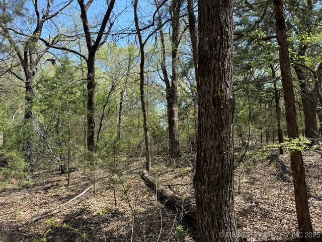 001 Willard, Milburn, OK 73450 - photo 6
