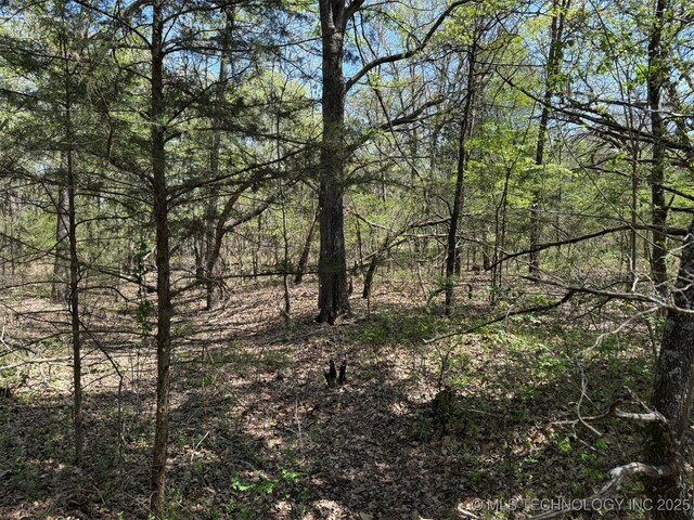 001 Willard, Milburn, OK 73450 - photo 11