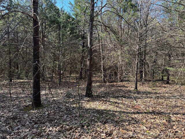 Canada, Tishomingo, OK 73460 - photo 4