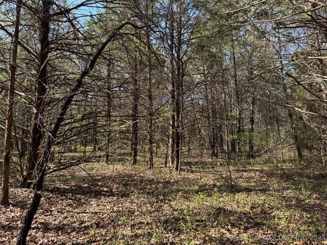 Canada, Tishomingo, OK 73460 - photo 6