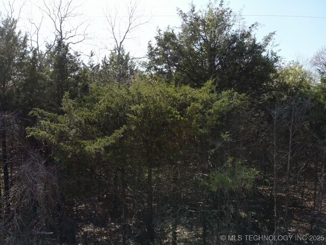 Canada, Tishomingo, OK 73460 - photo 13
