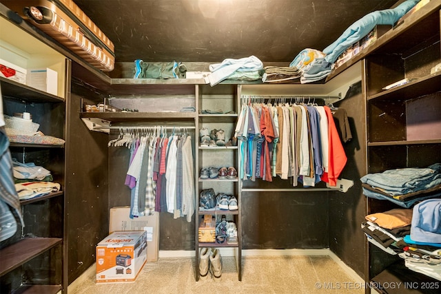 2003 Estates, Grove, OK 74344 - walk in closet featuring carpet