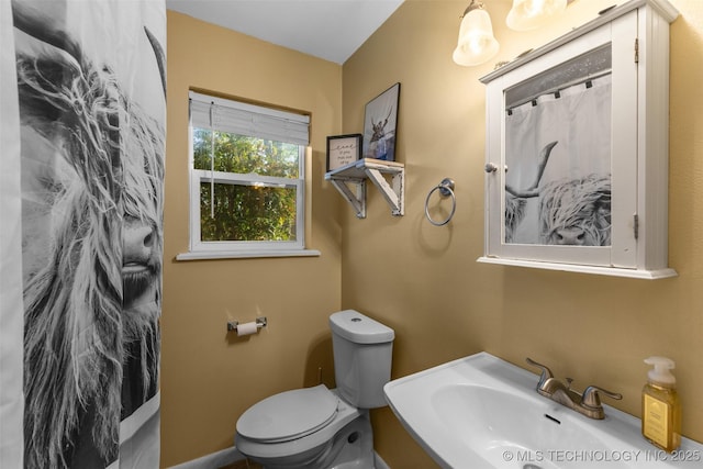 full bath with toilet, curtained shower, and vanity