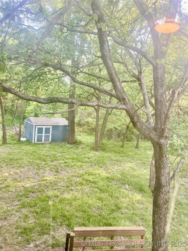 view of yard with a storage shed and an outdoor structure
