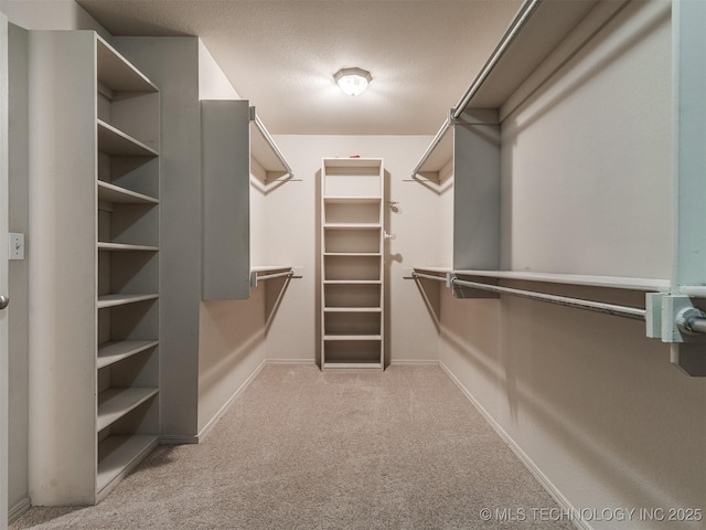 spacious closet with carpet floors