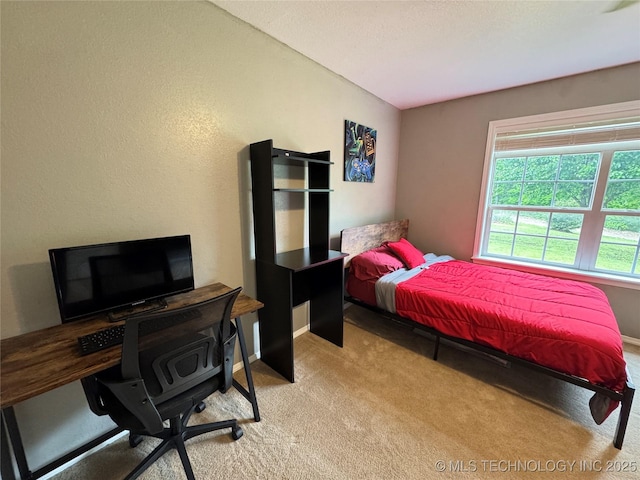 7840 W Wildflower Ln, Hulbert, OK 74441 - photo 49