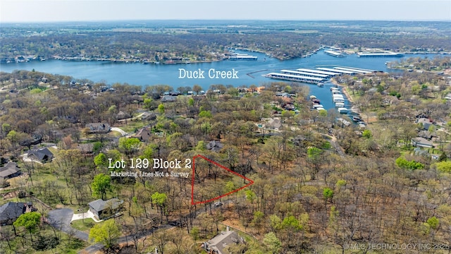 Blue Grouse Ln, Afton, OK 74331 - photo 1
