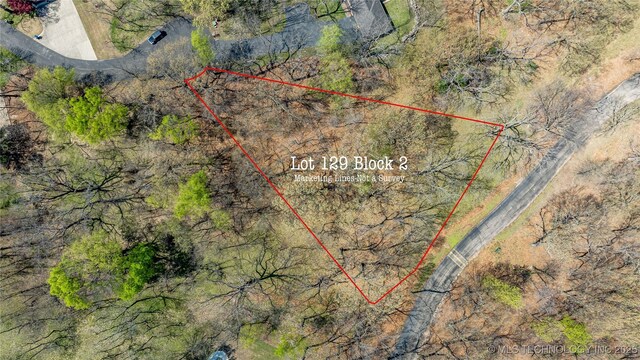 Blue Grouse Ln, Afton, OK 74331 - photo 3
