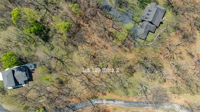 Blue Grouse Ln, Afton, OK 74331 - photo 4