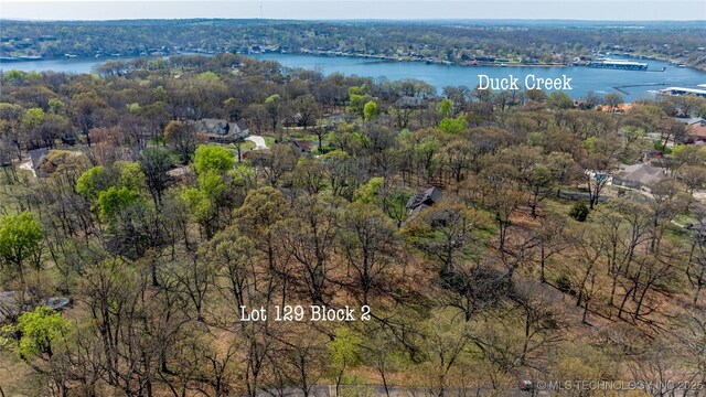 Blue Grouse Ln, Afton, OK 74331 - photo 8