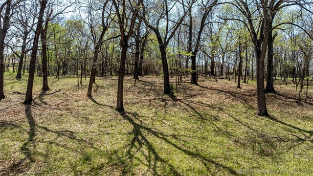 Blue Grouse Ln, Afton, OK 74331 - photo 9