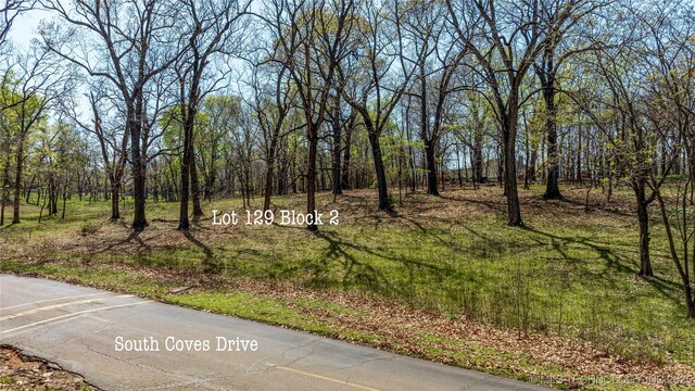 Blue Grouse Ln, Afton, OK 74331 - photo 10