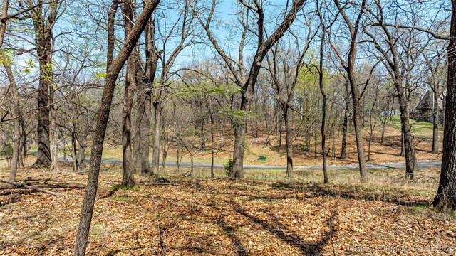 Blue Grouse Ln, Afton, OK 74331 - photo 11