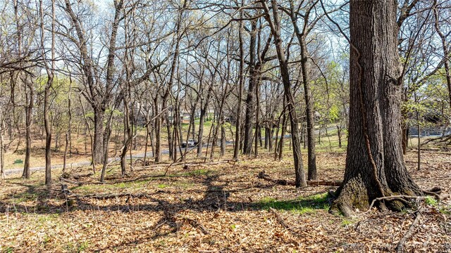 Blue Grouse Ln, Afton, OK 74331 - photo 12