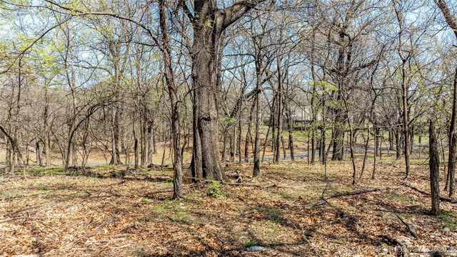 Blue Grouse Ln, Afton, OK 74331 - photo 13