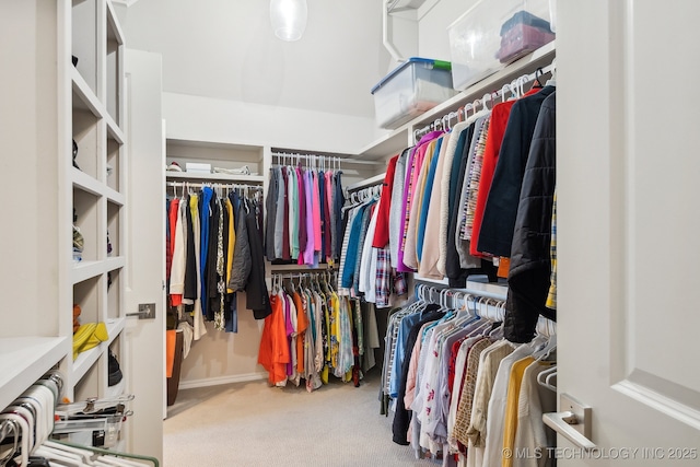 spacious closet featuring carpet