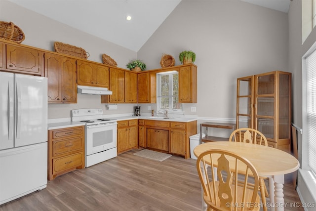 2667 Duguid Ln, Kingston, OK 73439 - kitchen with white appliances, under cabinet range hood, high vaulted ceiling, a sink, and light countertops