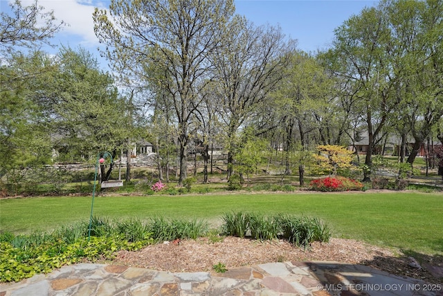 7505 S 4th St, Broken Arrow, OK 74011 - view of green lawn